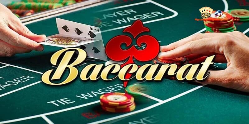 Không ưu tiên chọn cửa cược Tie – Hòa trong quá trình cá cược Baccarat