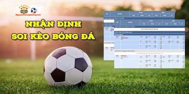 Theo dõi chú trọng tới biến động kèo